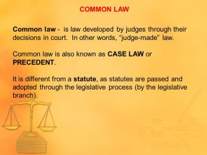 law common definition precedent case statute passed statutes known different also