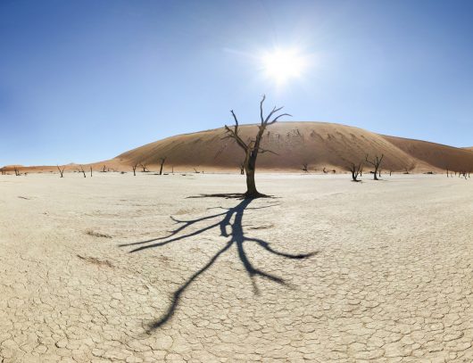 desertification-and-its-solutions-given-by-law-the-lawyers-jurists