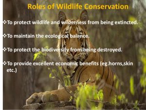 WILDLIFE CONSERVATION LAWS IN BANGLADESH | The Lawyers & Jurists
