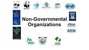 NON GOVERNMENTAL ORGANIZATION
