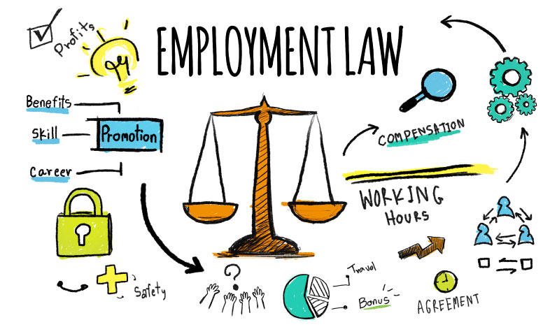 employment law business plan